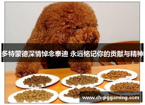 多特蒙德深情悼念泰迪 永远铭记你的贡献与精神