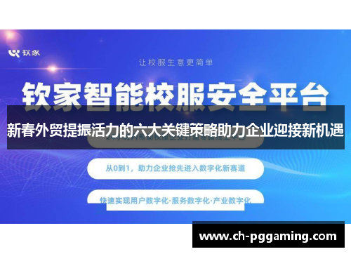 新春外贸提振活力的六大关键策略助力企业迎接新机遇