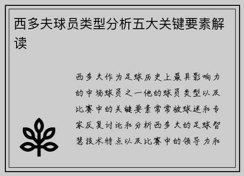 西多夫球员类型分析五大关键要素解读
