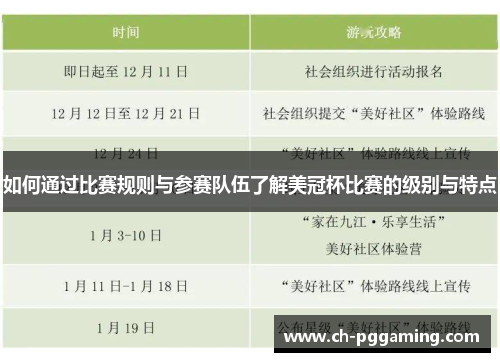 如何通过比赛规则与参赛队伍了解美冠杯比赛的级别与特点