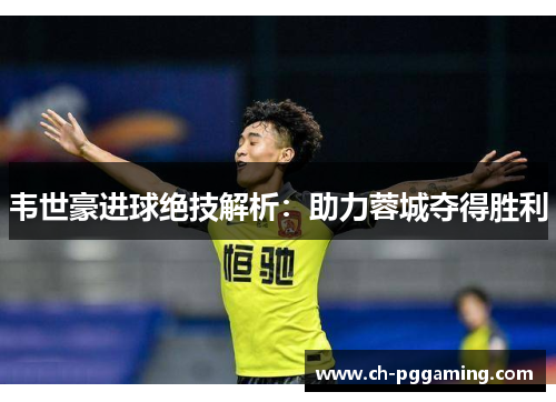 韦世豪进球绝技解析：助力蓉城夺得胜利