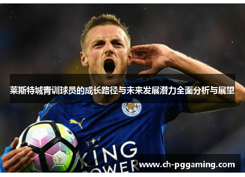 莱斯特城青训球员的成长路径与未来发展潜力全面分析与展望